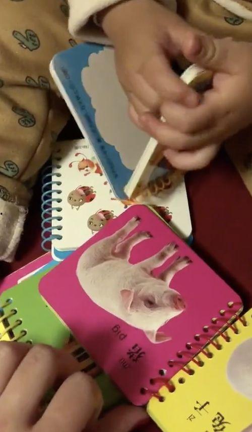 跟儿子口爆在线视频,儿子口爆在线视频事件引发的深思